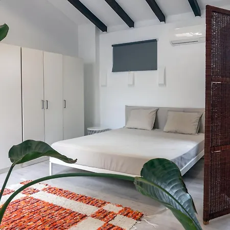 Vlc Host - Marti * Valencia